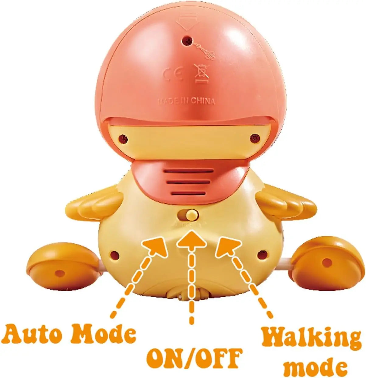 Watch Your Child Explore, Move, and Shine!
